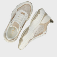 Mexx Ženska tenisica 18ZCJ10752